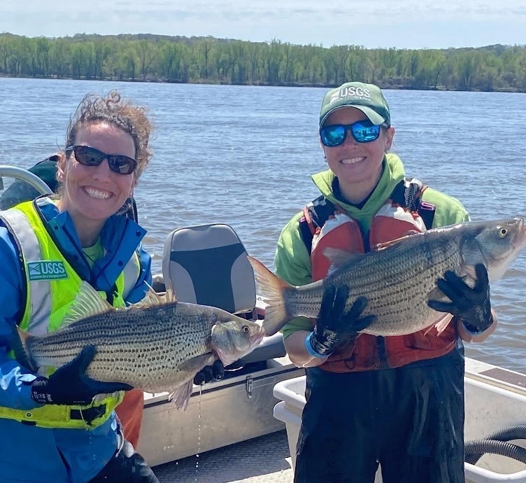 Andrea Fritt and Amanda Milde holding "whiper" hybrids captured for transmitter surgeries.
